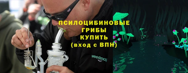 PSILOCYBIN Краснослободск