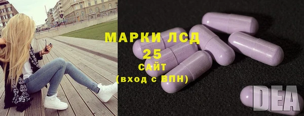 PSILOCYBIN Краснослободск